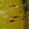 20040731_WorldChampTaiwan_0807Samedi_DeFiHoChCa_FSTB_0010