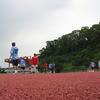 20040731_WorldChampTaiwan_0807Samedi_TournoiOpen_MaximeDonze_FSTB_0052