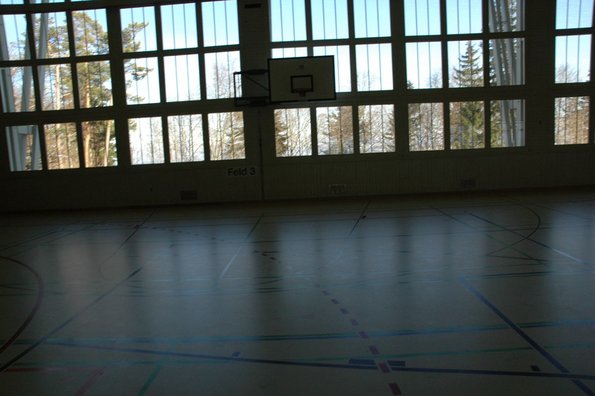 20050211_MoniteursJS_LaPratique_MCarnal_0021