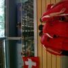 20060805_ChampEuropeMacolin_06Sunday_Men_Final1-2_Inconnu_0058