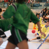 20060520_FinaleChamp_GeneveVDR_0119