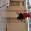 20060520_FinaleChamp_Lsn1Meyrin_0190