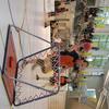 20060520_FinaleChamp_Lsn1Meyrin_0214