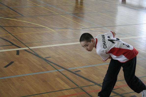 20060305_JourneeLemaniqueGE_LPittet_0160