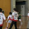20060305_JourneeLemaniqueGE_LPittet_0196