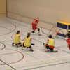 20060411_Match_LS1-VDR_LPittet_0024