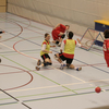 20060411_Match_LS1-VDR_LPittet_0056