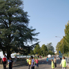 20061012_SemaineOlympique_LS_NHeiniger_0025