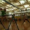 20061209_TournoiGeJuniors_Matchs_MCarnal_0055