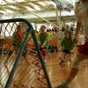 20061209_TournoiGeJuniors_Matchs_MCarnal_0060