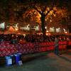 20071110_WarmUpSecJour_MCarnal_0164