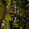 20080713_ETC_Usti_Men_Final_CH-GB_LFrelechoux_0019