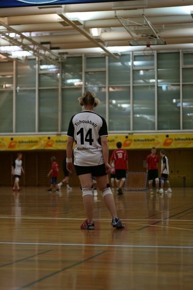 20081220_Tournoi4Nations_ALL-AUT_DSandoz_0008