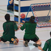 20090222_EWC_saro-gnv1_NHeiniger_0021