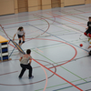 20090222_EWC_limb-trai_DRossetti_0003