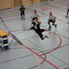 20090222_EWC_limb-trai_DRossetti_0012