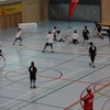 20090222_EWC_limb-trai_DRossetti_0019
