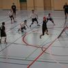 20090222_EWC_limb-trai_DRossetti_0032