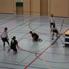 20090222_EWC_limb-trai_DRossetti_0035