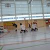 20090222_EWC_trai-limb_GSieber_0038