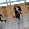 20090222_EWC_trai-limb_GSieber_0042