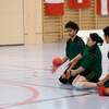 20090222_EWC_gnv1-cdf_NHeiniger_0001