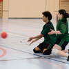 20090222_EWC_gnv1-cdf_NHeiniger_0002