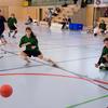 20090221_EWC_gnv1-limb_NHeiniger_0014