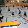 20090221_EWC_trai-cdf_LFrelechoux_0004