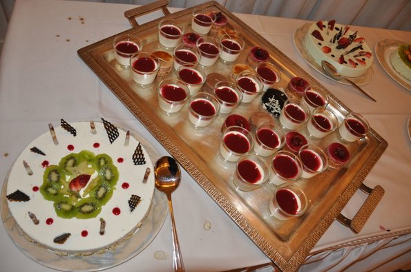 20090221_EWC_gala_GSieber_0004