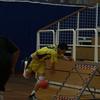 20100121_ChampionnatGE1-CHBSY_LZito0009