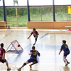 20120609_CoupeSuisse_ChambesyPanthers-PiranyonOrigin_DJaggi_0002