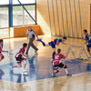 20120609_CoupeSuisse_ChambesyPanthers-PiranyonOrigin_DJaggi_0005
