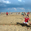 20120505_RiminiBeachTchoukballFestival_FCastelli_0092
