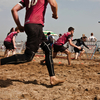 20130504_RiminiTournament2013_DRossetti_0009