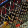 20140330_EWC_Final_ChambesyPanthers-RTTraiskirchen_GSieber_0030