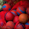 20140329_EWC_GroupA-ChambesyPanthers-SaronnoCastor_DSandoz_0012