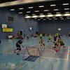 20140329_EWC_GroupB_Val-de-RuzFlyers-LimetaLomnice_NAntonioli_0017