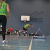 20140329_EWC_GroupB_Val-de-RuzFlyers-LimetaLomnice_NAntonioli_0029